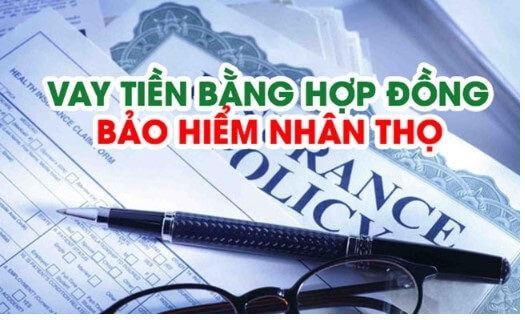 Vay tín chấp bằng bảo hiểm nhân thọ uy tín, gọn nhẹ