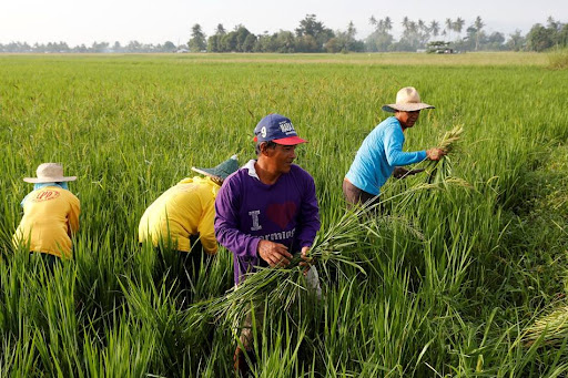 Hồ sơ, thủ tục vay tiền thế chấp đất nông nghiệp