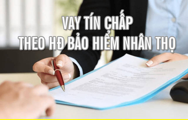 Quy trình đăng ký vay tín chấp bảo hiểm nhân thọ